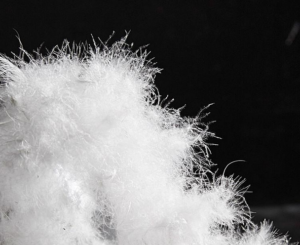 什么面料輕薄保暖——白鴨絨