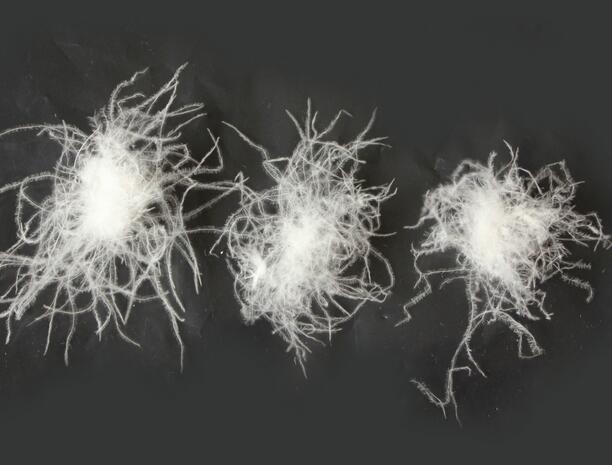 鵝絨和鴨絨有什么區(qū)別